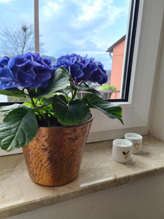 Ferienwohnung Rosenberg Oberemmel ภายนอก รูปภาพ